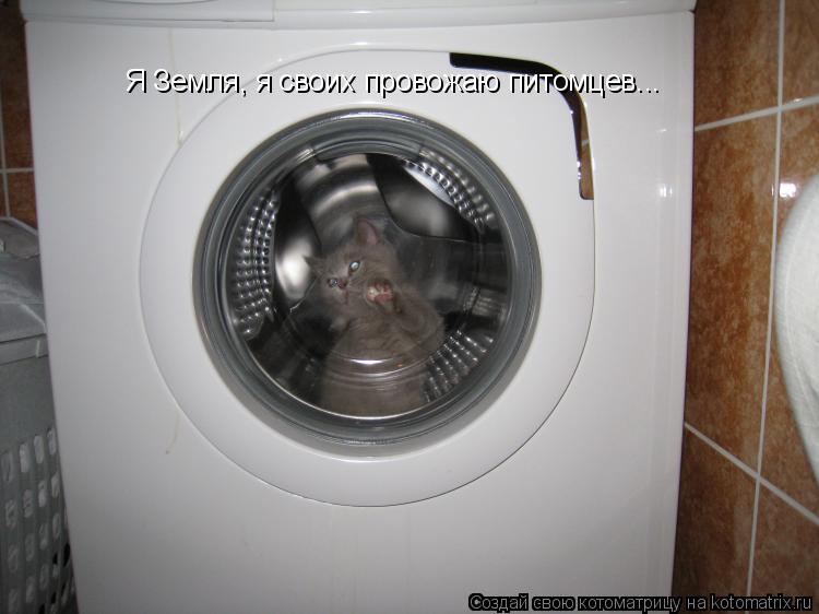 Я Земля, я своих провожаю питомцев...... Котоматрица: Я Земля, я своих провожаю питомцев...