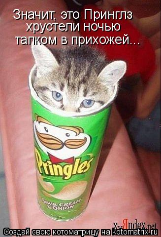 Значит, это Принглз хрустели ночью тапком в прихожей...... Котоматрица: Значит, это Принглз хрустели ночью тапком в прихожей...