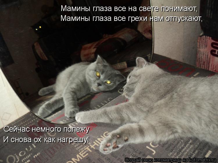Мамины глаза все на свете понимают, Мамины глаза все грехи нам отпускают, Сейчас немного полежу И сн... Котоматрица: Мамины глаза все на свете понимают, Мамины глаза все грехи нам отпускают, Сейчас немного полежу И снова ох как нагрешу!