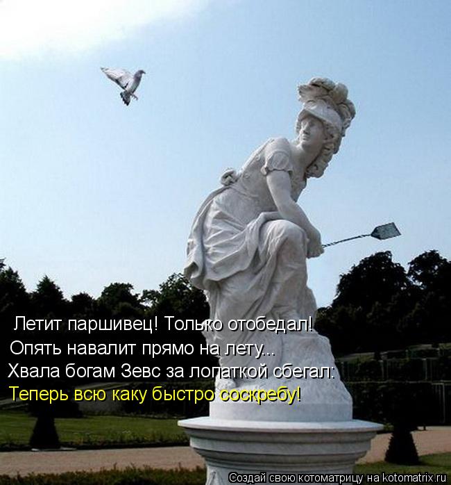 Летит паршивец! Только отобедал! Опять навалит прямо на лету... Хвала богам Зевс за лопаткой сбегал: ... Котоматрица: Летит паршивец! Только отобедал! Опять навалит прямо на лету... Хвала богам Зевс за лопаткой сбегал: Теперь всю каку быстро соскребу!