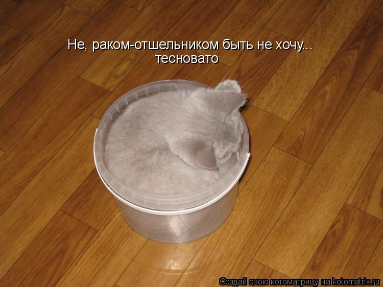 Не, раком-отшельником быть не хочу... тесновато... Котоматрица: Не, раком-отшельником быть не хочу... тесновато