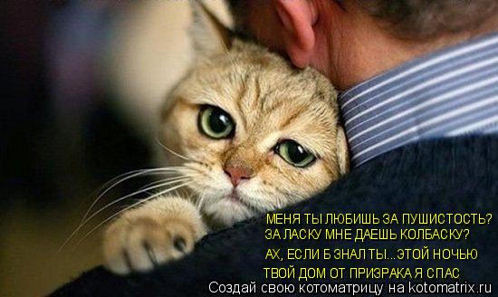 МЕНЯ ТЫ ЛЮБИШЬ ЗА ПУШИСТОСТЬ? ЗА ЛАСКУ МНЕ ДАЕШЬ КОЛБАСКУ? АХ, ЕСЛИ Б ЗНАЛ ТЫ...ЭТОЙ НОЧЬЮ ТВОЙ ДОМ О... Котоматрица: МЕНЯ ТЫ ЛЮБИШЬ ЗА ПУШИСТОСТЬ? ЗА ЛАСКУ МНЕ ДАЕШЬ КОЛБАСКУ? АХ, ЕСЛИ Б ЗНАЛ ТЫ...ЭТОЙ НОЧЬЮ ТВОЙ ДОМ ОТ ПРИЗРАКА Я СПАС
