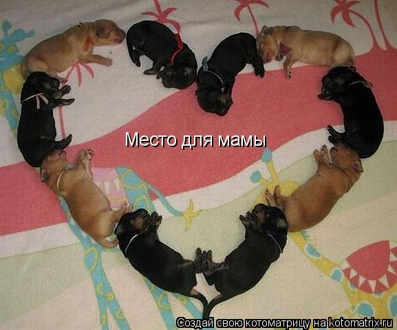 Место для мамы... Котоматрица: Место для мамы