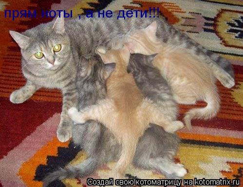 прям ноты , а не дети!!! прям ноты , а не дети!!!... Котоматрица: прям ноты , а не дети!!! прям ноты , а не дети!!!
