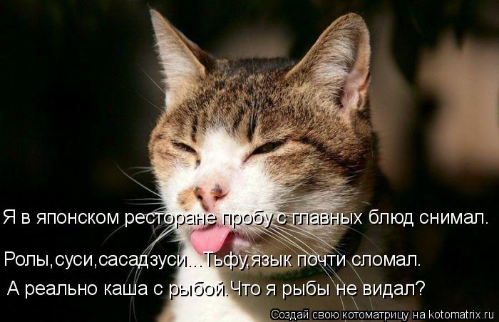 Ролы,суси,сасадзуси...Тьфу,язык почти сломал. А реально каша с рыбой.Что я рыбы не видал? Я в японско... Котоматрица: Ролы,суси,сасадзуси...Тьфу,язык почти сломал. А реально каша с рыбой.Что я рыбы не видал? Я в японском ресторане пробу с главных блюд снимал.