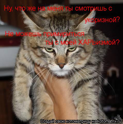 Ну, что же на меня ты смотришь с укоризной ? Не можешь примириться ты с моей ХАРЬизмой?... Котоматрица: Ну, что же на меня ты смотришь с укоризной ? Не можешь примириться ты с моей ХАРЬизмой?