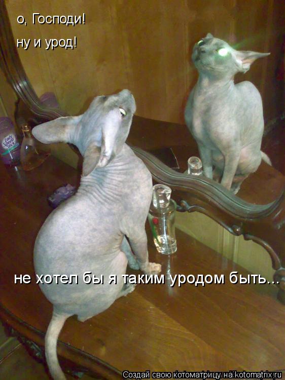 о, Господи! ну и урод! не хотел бы я таким уродом быть...... Котоматрица: о, Господи! ну и урод! не хотел бы я таким уродом быть...