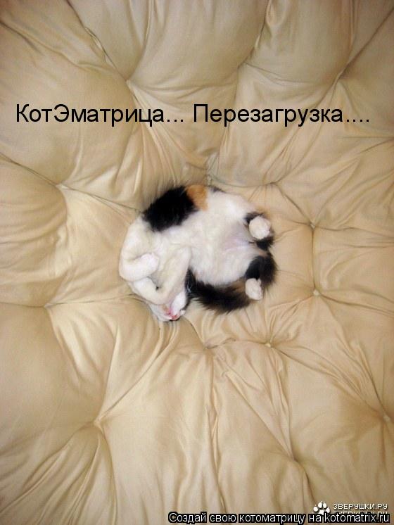 КотЭматрица... Перезагрузка....... Котоматрица: КотЭматрица... Перезагрузка....