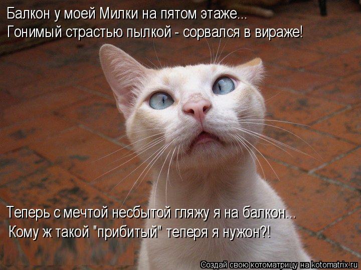 Балкон у моей Милки на пятом этаже….. Гонимый страстью пылкой - сорвался в вираже! Теперь с мечтой не... Котоматрица: Балкон у моей Милки на пятом этаже….. Гонимый страстью пылкой - сорвался в вираже! Теперь с мечтой несбытой гляжу я на балкон….. Кому ж такой