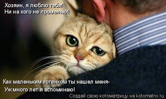 Хозяин, я люблю тебя! Ни на кого не променяю! Уж много лет я вспоминаю! Как маленьким котенком ты наш... Котоматрица: Хозяин, я люблю тебя! Ни на кого не променяю! Уж много лет я вспоминаю! Как маленьким котенком ты нашел меня-