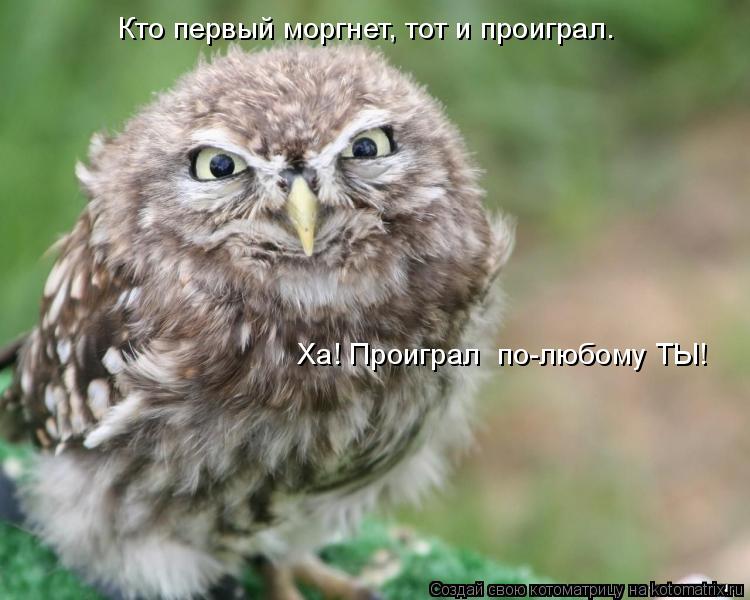 Кто первый моргнет, тот и проиграл. Ха! Проиграл по-любому ТЫ!... Котоматрица: Кто первый моргнет, тот и проиграл. Ха! Проиграл по-любому ТЫ!