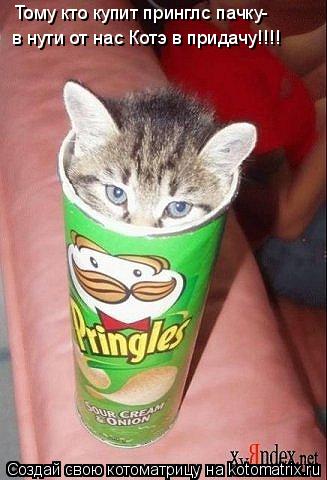 Тому кто купит принглс пачку- в нути от нас Котэ в придачу!!!!... Котоматрица: Тому кто купит принглс пачку- в нути от нас Котэ в придачу!!!!