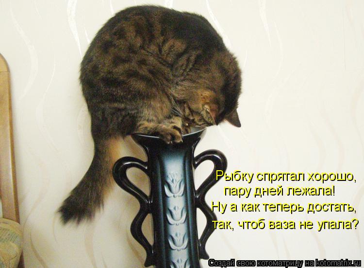 Рыбку спрятал хорошо, пару дней лежала! Ну а как теперь достать, так, чтоб ваза не упала?... Котоматрица: Рыбку спрятал хорошо, пару дней лежала! Ну а как теперь достать, так, чтоб ваза не упала?