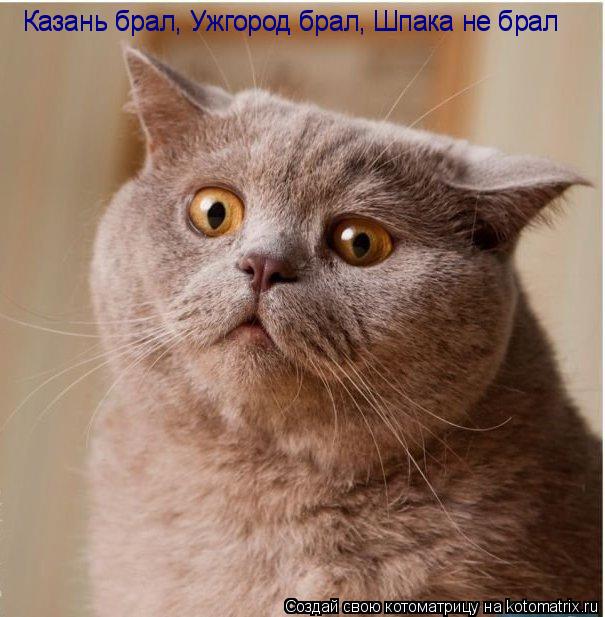 Казань брал, Ужгород брал, Шпака не брал Казань брал, Ужгород брал, Шпака не брал... Котоматрица: Казань брал, Ужгород брал, Шпака не брал Казань брал, Ужгород брал, Шпака не брал