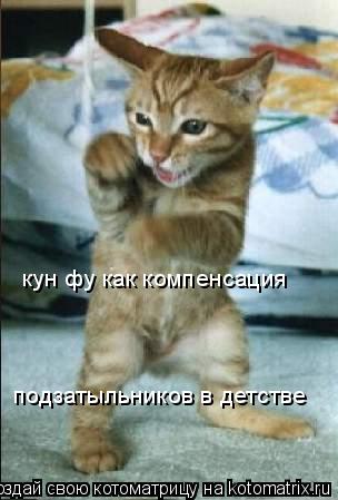 кун фу как компенсация подзатыльников в детстве... Котоматрица: кун фу как компенсация подзатыльников в детстве
