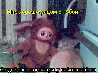 Котоматрица: Мне хорошо рядом с тобой