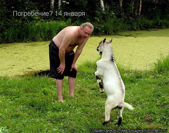 Котоматрица: Погребение? 14 января