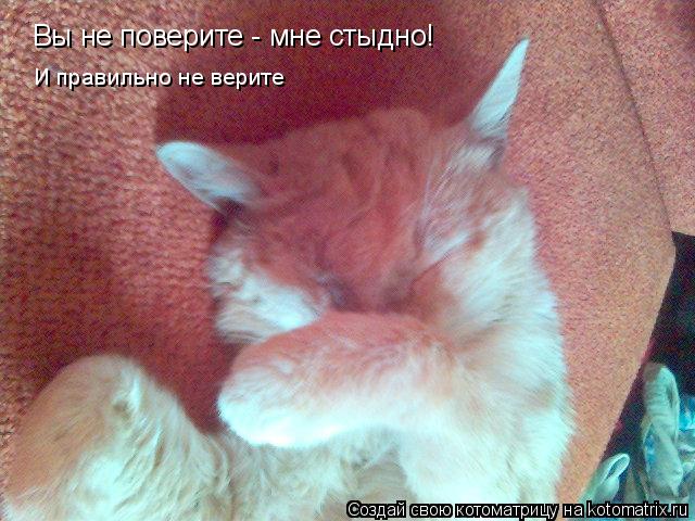 Котоматрица: Вы не поверите - мне стыдно! И правильно не верите