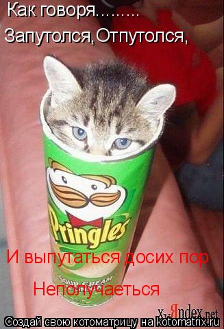 Котоматрица: Как говоря......... Запутолся,Отпутолся,  И выпутаться досих пор Неполучаеться