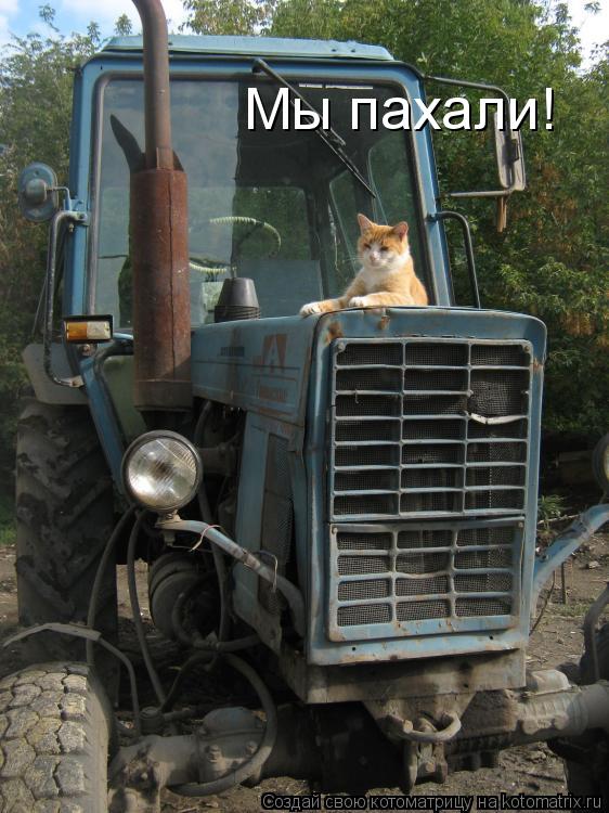 Котоматрица: Мы пахали!