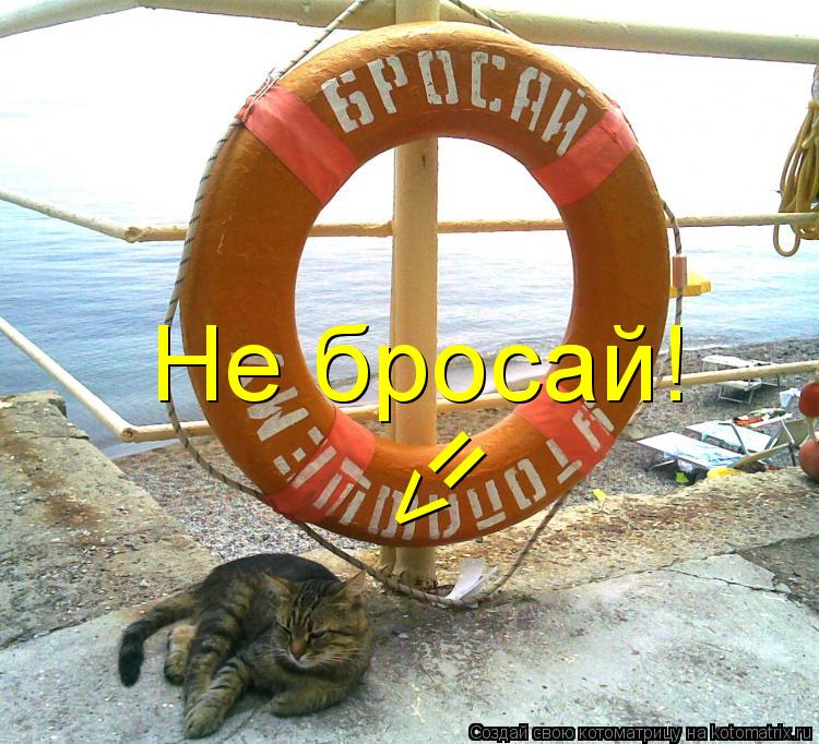 Котоматрица: Не бросай! <=