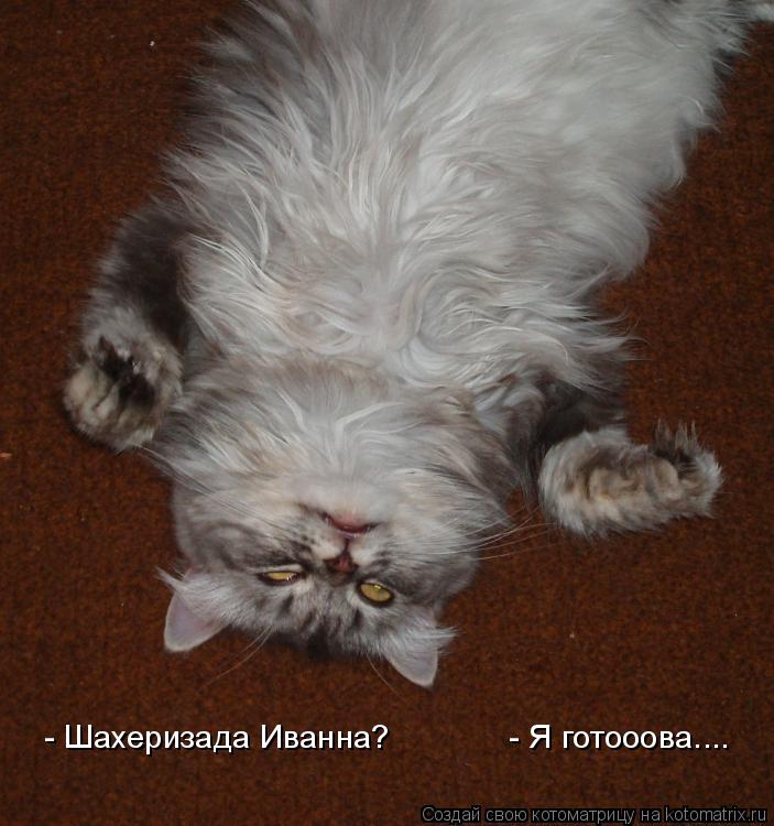 Котоматрица: Шахеризада Иванна? - Шахеризада Иванна?             - Я готооова....