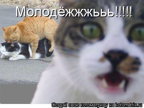 Котоматрица: Молодёжжжььь!!!!!