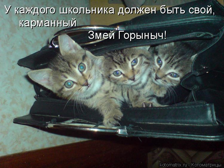 Котоматрица: У каждого школьника должен быть свой, карманный Змей Горыныч!