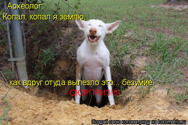 Котоматрица: Археолог: Копал, копал я землю,  как вдруг отуда вылезло это... безумие: - СЮРПРИЗ!!!!!