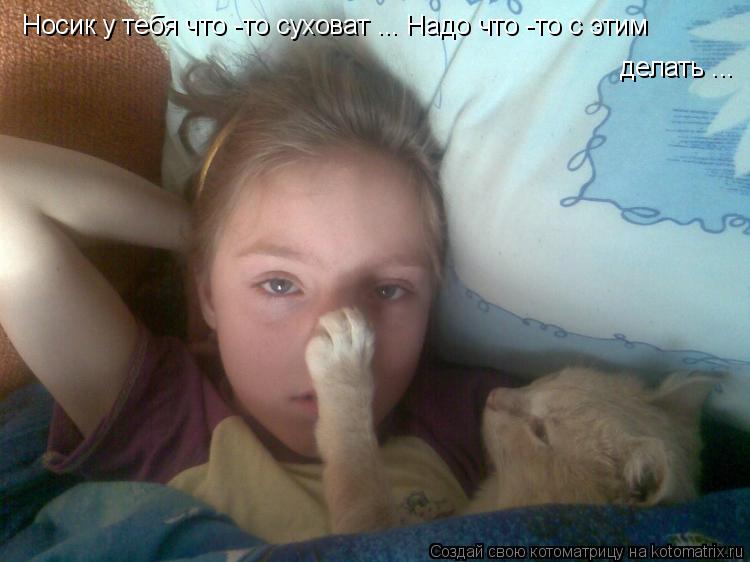 Котоматрица: Носик у тебя что -то суховат ... Надо что -то с этим  делать ...