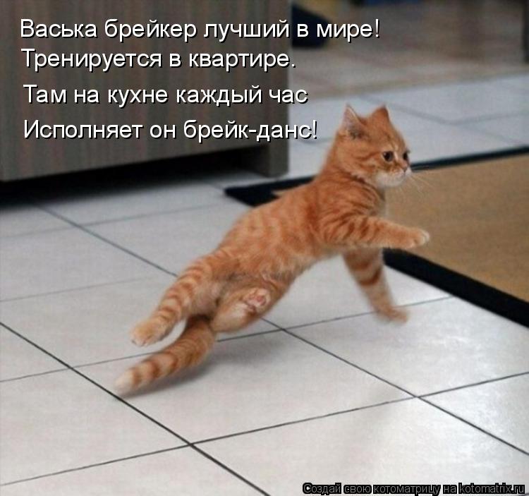 Котоматрица: Васька брейкер лучший в мире! Тренируется в квартире. Там на кухне каждый час Исполняет он брейк-данс!
