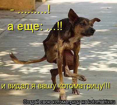 Котоматрица: - .........! а еще: ...!! и видал я вашу котоматрицу!!!