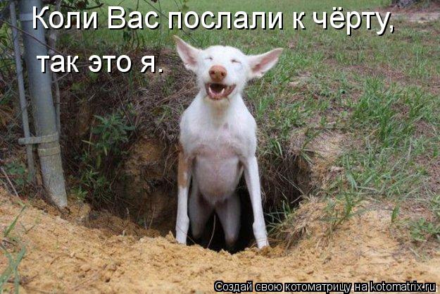 Котоматрица: Коли Вас послали к чёрту,  так это я.