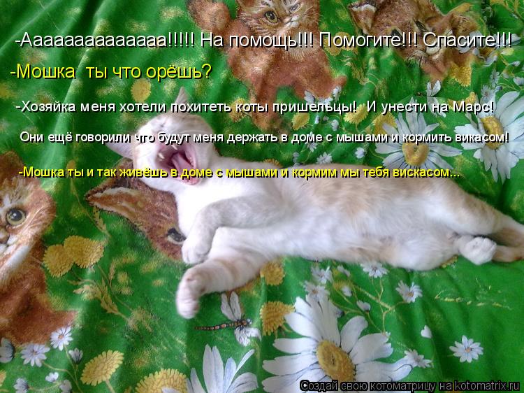 Котоматрица: -Мошка  ты что орёшь? -Хозяйка меня хотели похитеть коты пришельцы!  И унести на Марс! -Аааааааааааааа!!!!! На помощь!!! Помогите!!! Спасите!!! Они 