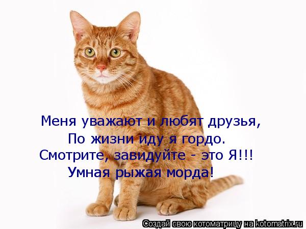 Котоматрица: Меня уважают и любят друзья, По жизни иду я гордо. Смотрите, завидуйте - это Я!!! Умная рыжая морда! Умная рыжая морда!
