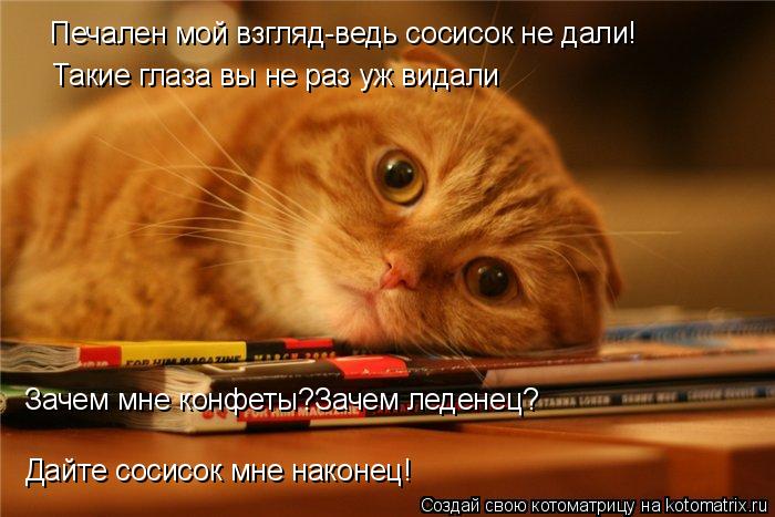 Котоматрица: Печален мой взгляд-ведь сосисок не дали! Такие глаза вы не раз уж видали Зачем мне конфеты?Зачем леденец? Дайте сосисок мне наконец!