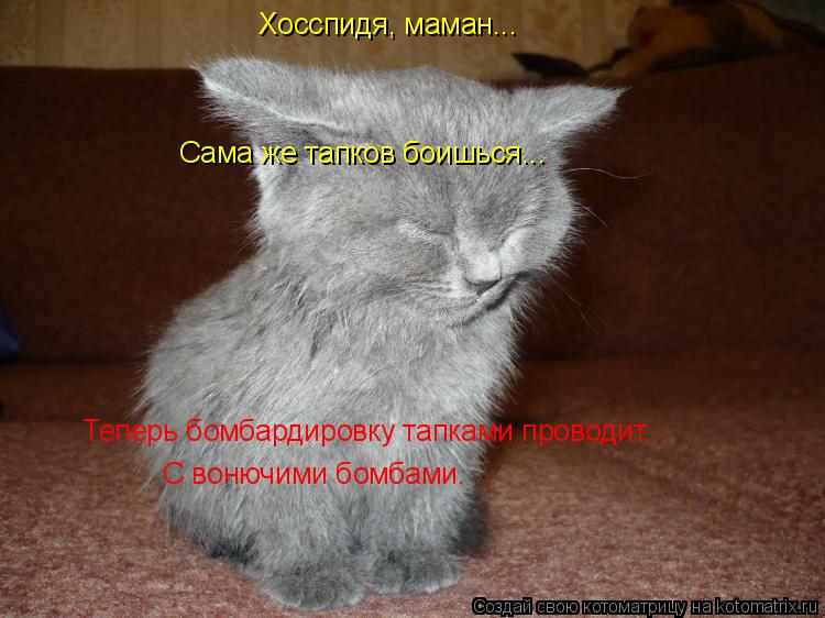 Котоматрица: Хосспидя, маман... Сама же тапков боишься... Теперь бомбардировку тапками проводит... С вонючими бомбами.