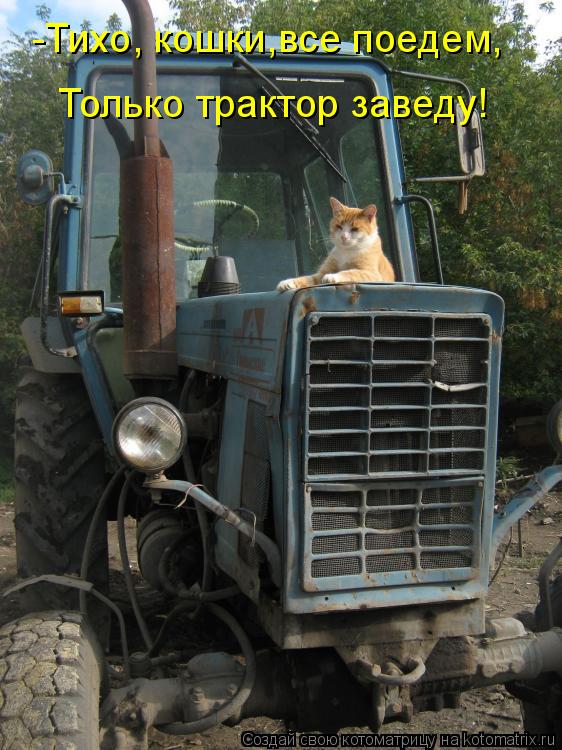 Котоматрица: Только трактор заведу! -Тихо, кошки,все поедем,