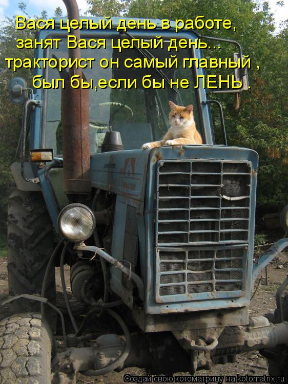 Вася целый день в работе, занят Вася целый день... тракторист он самый главный , был бы,если бы не ЛЕ... Котоматрица: Вася целый день в работе, занят Вася целый день... тракторист он самый главный , был бы,если бы не ЛЕНЬ .