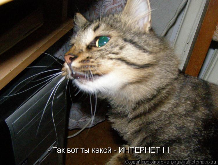 Котоматрица: - Так вот ты какой - ИНТЕРНЕТ !!!