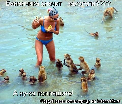 Бананчика значит захотели???? А ну-ка попляшите!... Котоматрица: Бананчика значит захотели???? А ну-ка попляшите!
