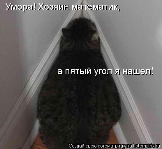 Умора! Хозяин математик, а пятый угол я нашел!... Котоматрица: Умора! Хозяин математик, а пятый угол я нашел!