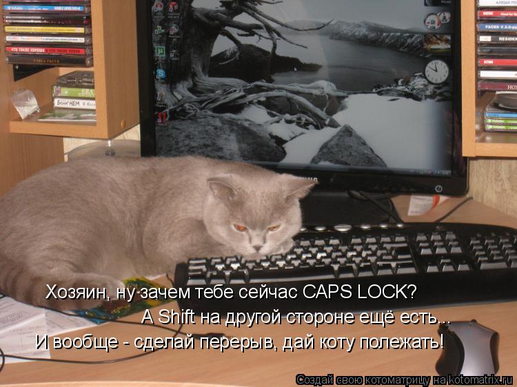 Хозяин, ну зачем тебе сейчас CAPS LOCK? А Shift на другой стороне ещё есть... И вообще - сделай перер... Котоматрица: Хозяин, ну зачем тебе сейчас CAPS LOCK? А Shift на другой стороне ещё есть... И вообще - сделай перерыв, дай коту полежать!