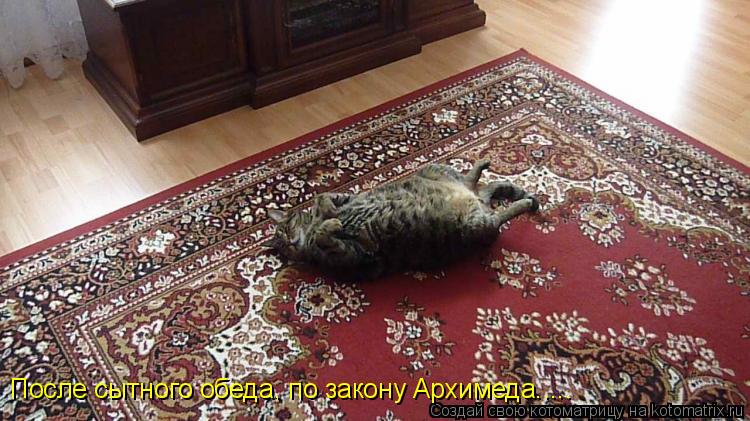 После сытного обеда, по закону Архимеда........ Котоматрица: После сытного обеда, по закону Архимеда.....