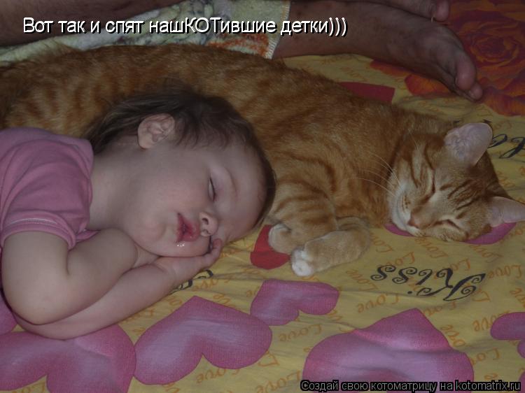 Вот так и спят нашКОТившие детки))) Вот так и спят нашКОТившие детки)))... Котоматрица: Вот так и спят нашКОТившие детки))) Вот так и спят нашКОТившие детки)))