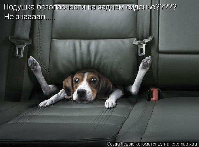 Подушка безопасности на заднем сиденье????? Не знаааал......... Котоматрица: Подушка безопасности на заднем сиденье????? Не знаааал......