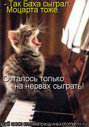 Котоматрица: - Так Баха сыграл,  Моцарта тоже. Осталось только на нервах сыграть!
