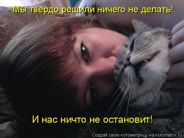 Котоматрица: - Мы твердо решили ничего не делать! И нас ничто не остановит!