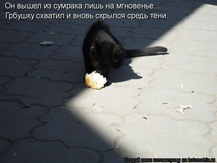 Он вышел из сумрака лишь на мгновенье... Грбушку схватил и вновь скрылся средь тени.... Котоматрица: Он вышел из сумрака лишь на мгновенье... Грбушку схватил и вновь скрылся средь тени.
