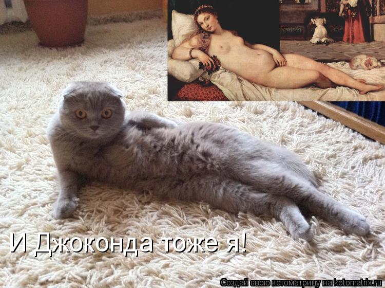 Котоматрица: И Джоконда тоже я!